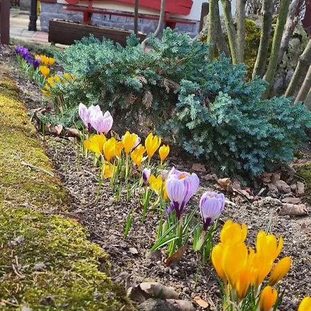 Casa de hóspedes Orion Karpacz