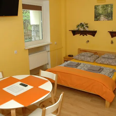 Casa de hóspedes Orion *